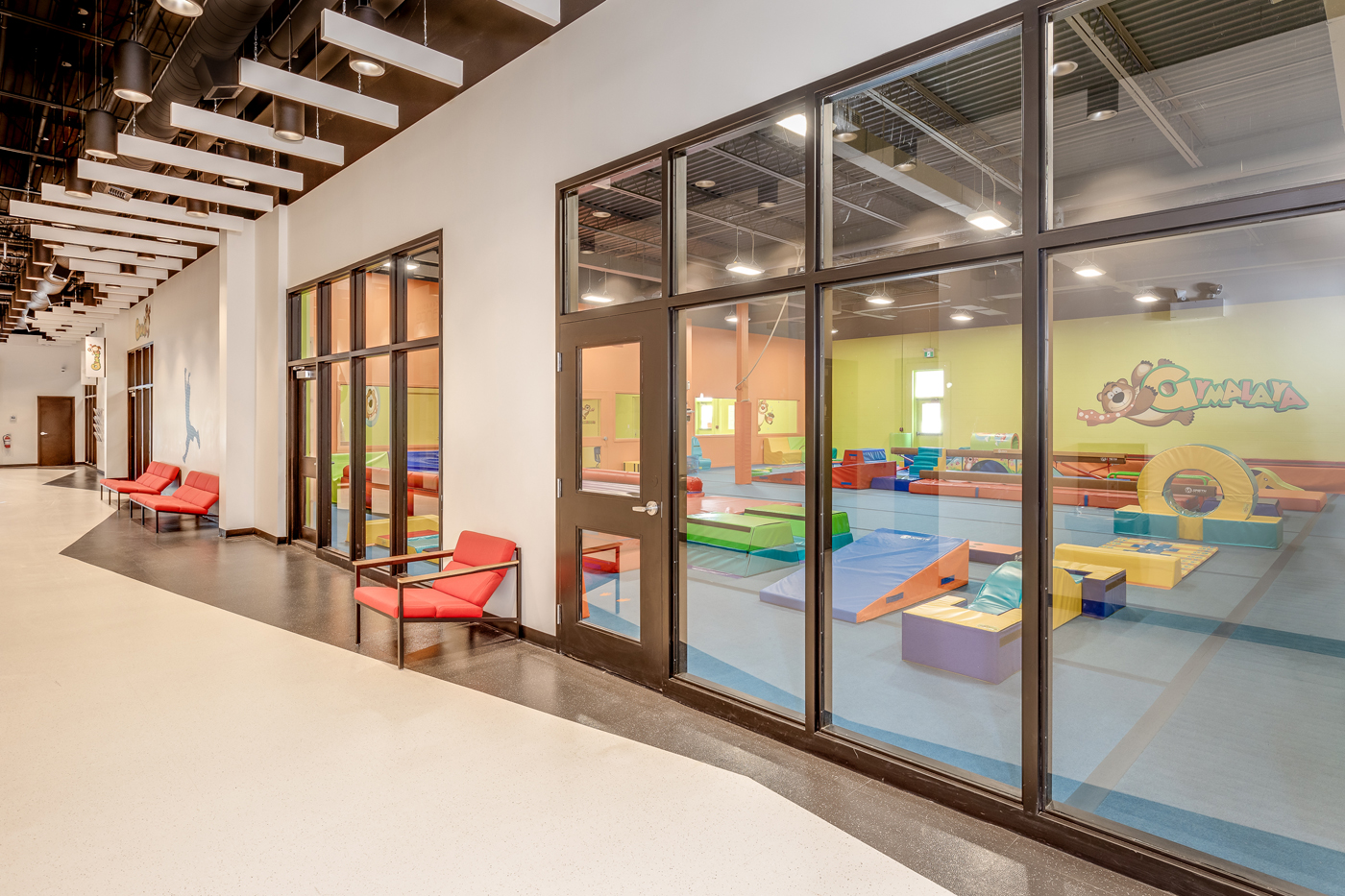 ActivityPlex | The All-in-One Activity Complex